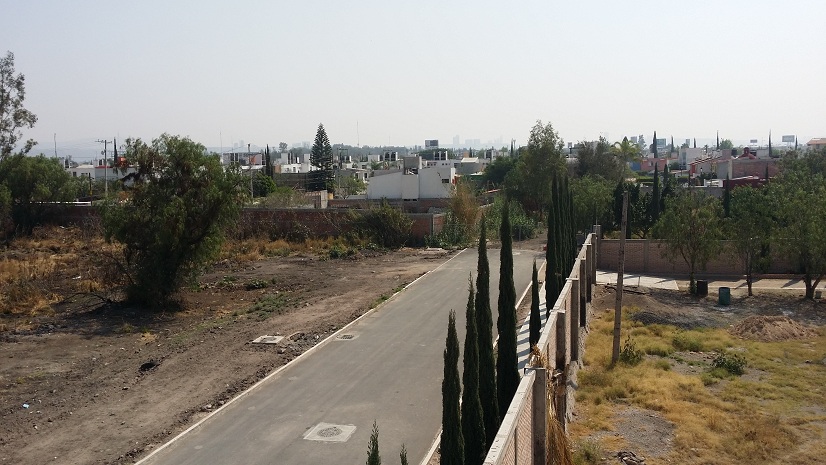 bg