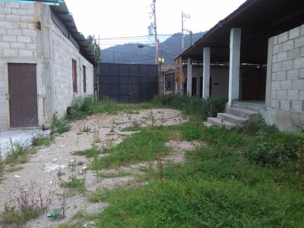 bg