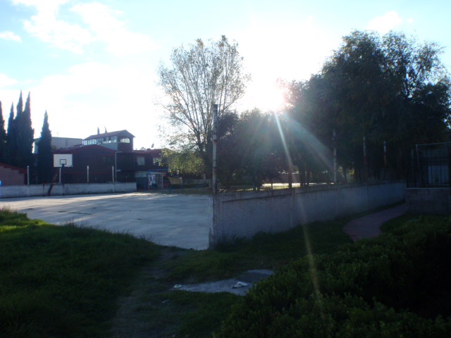 bg