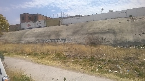 bg