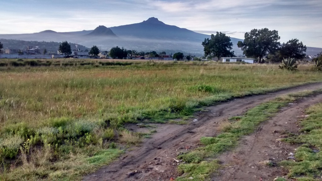 bg