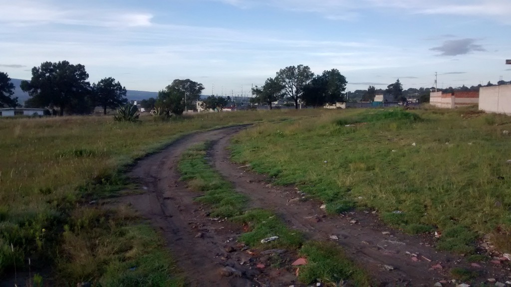 bg