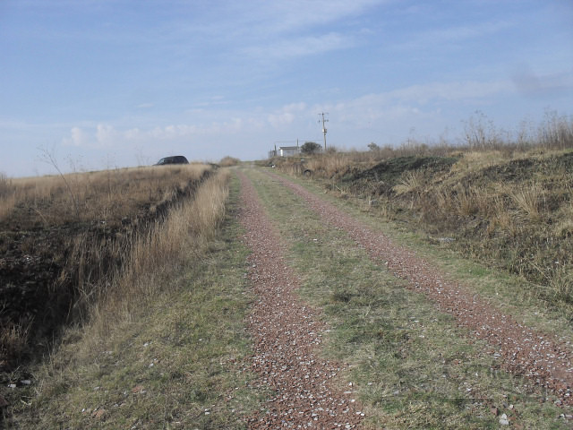bg