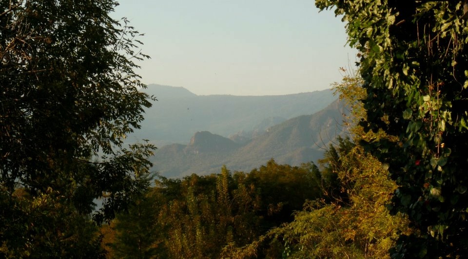 bg