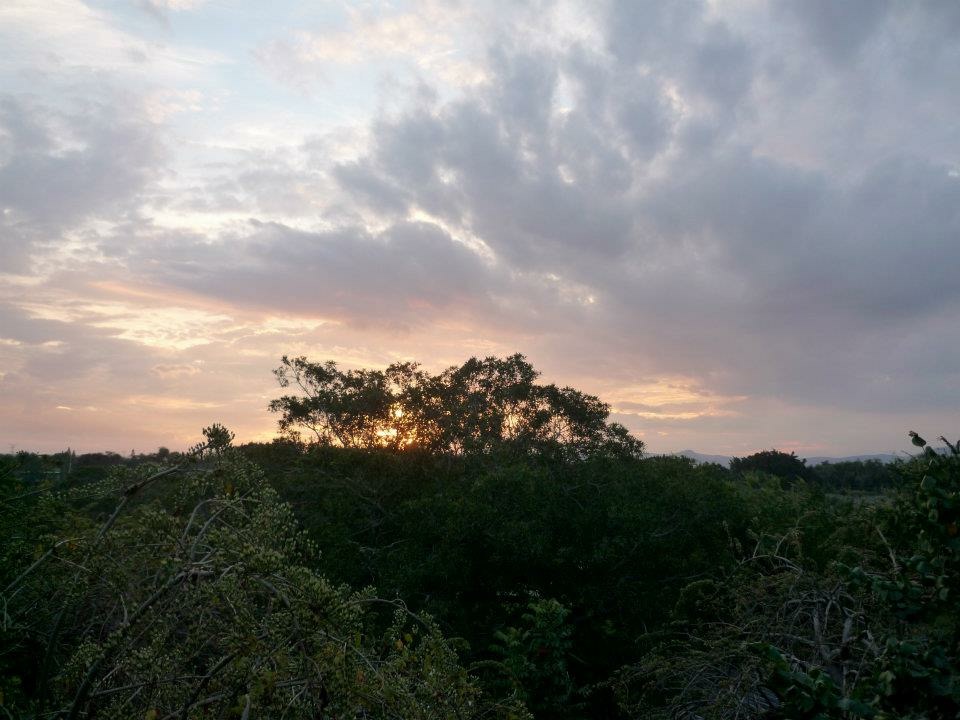 bg