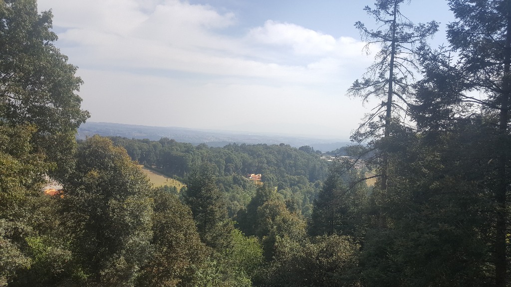 bg