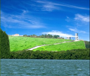 bg