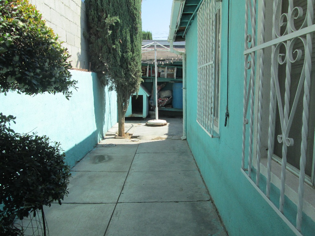 bg