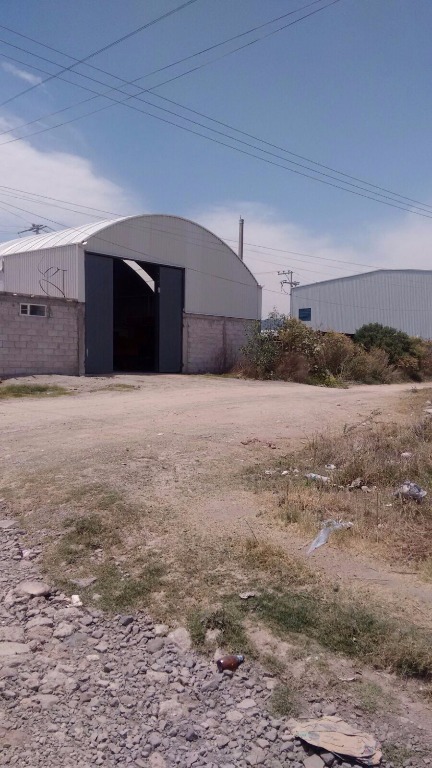 bg