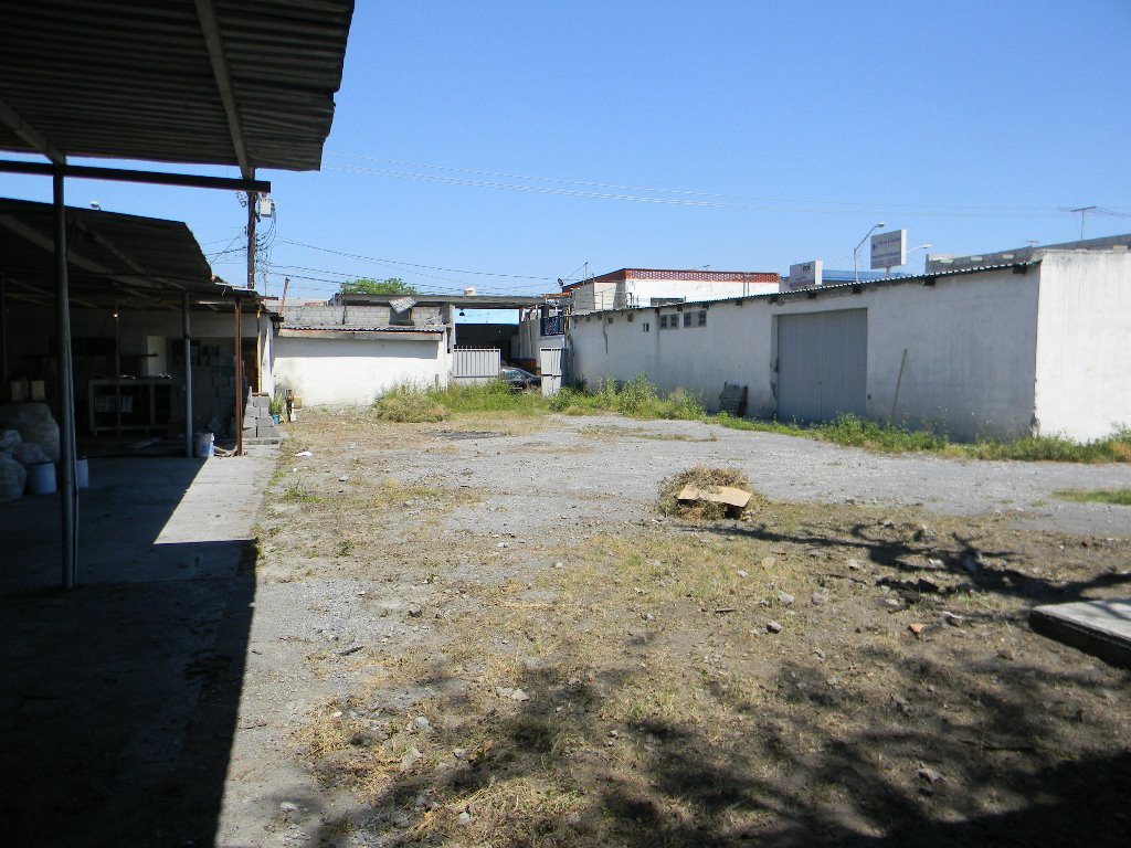 bg