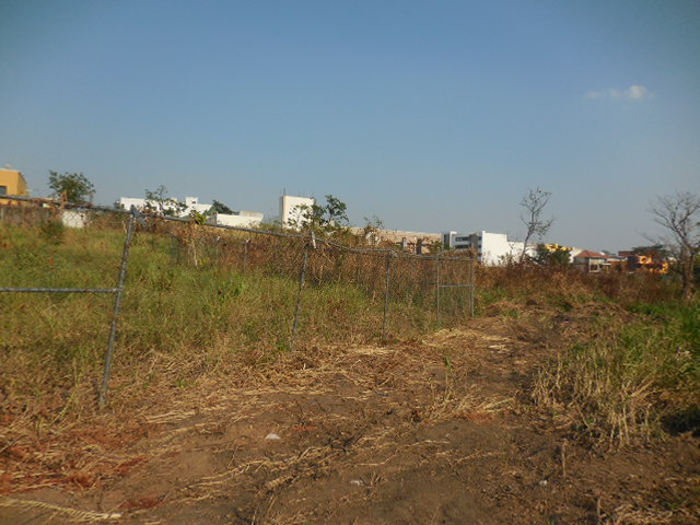 bg