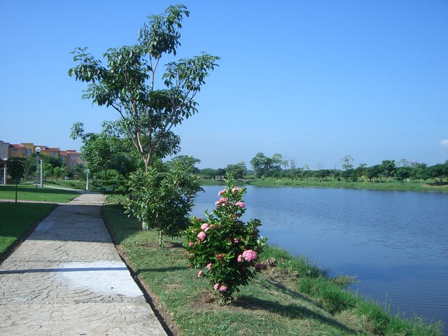 bg
