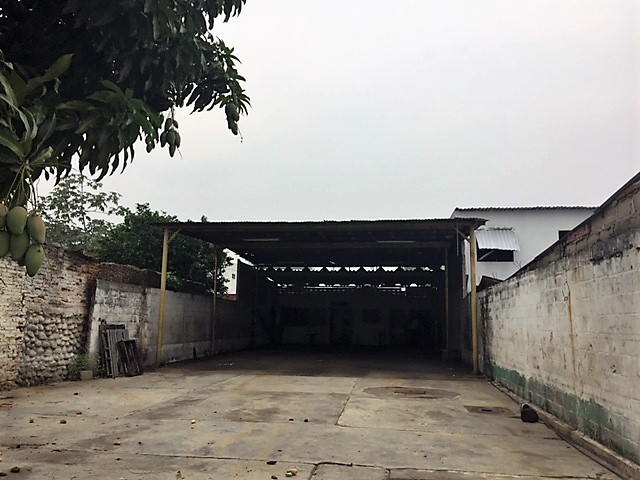 bg