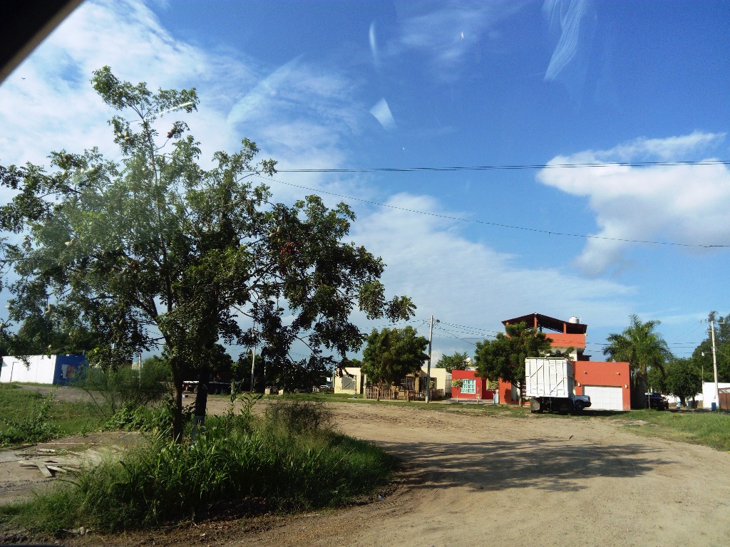 bg